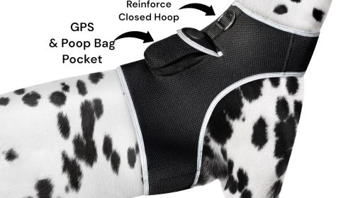 Less Maintenance Collar Pocket Dog Tracking Devices w/ Waterproof Body Size:S