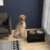 Elevated Dog Bowls with Storage Drawer – Raised Dog Feeding Station with Stainless Steel Bowls (Black)