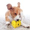 Pet Dog Toothbrush Chew Toys – Upgraded Treasure Chest Sounding Toy – Dental Care Tooth Cleaning