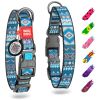 Adjustable Reflective Nylon Dog Collar – Durable Everyday Dog Collar with QR ID Tag