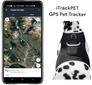 Wireless Mini Realtime GSM GPS Tracking Dog Collar Locator Waterproof Size:XXL