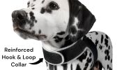 Waterproof GPS Tracking Collar for Hunting Dogs – Real-Time Pet Tracker Collar (XXL Size)