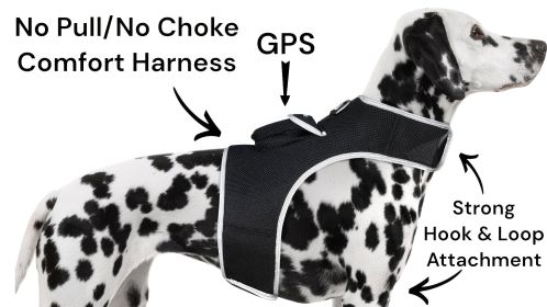 Waterproof Pet Tracking Dog Collar GPS Wireless Tracker Mini Locator Size:L