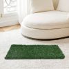 Dog Grass Mat, Indoor Potty Training, Pee Pad for Pet – Two pieces