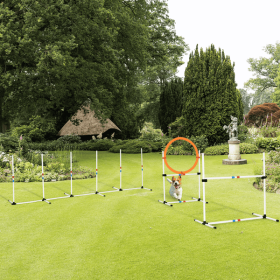 Dog Agility Equipment Set of Eight Cones