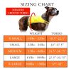 Lite Reflective Hi Visibility Dog Vest – XL Fluorescent Yellow Safety Vest for Dogs