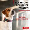 Adjustable Nylon Dog Collar – Durable Breakaway Dog Collar with QR ID Tag