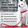 Rolled Leather Dog Leash – 4FT x .3IN Heavy Duty Genuine Leather Dog Leash