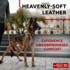 Brown Soft Leather Dog Collar – Adjustable Padded Dog Collar with QR Safety Tag