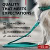 Mint Rolled Leather Dog Leash – 6FT x .3IN Heavy Duty Genuine Leather Dog Leash