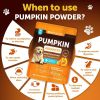 Pumpkin Powder for Dogs Digestive Support 16 OZ Fiber Supplement for Constipation For Gut Balance Healthy Skin Digestion Anal Glands Firm Stool Poop A