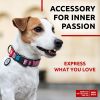 Unicorn Nylon Dog Collar – Adjustable Durable Dog Collar with QR ID Tag