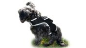 Waterproof GPS Tracking Collar for Hunting Dogs – Real-Time Pet Tracker Collar (XXL Size)