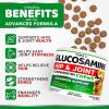 2-Pack Glucosamine & Chondroitin Joint Chews for Dogs
