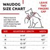 Waterproof Dog Collar – Heavy-Duty Adjustable Dog Collar with Metal Buckle