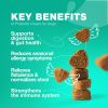 Probiotics for Dogs Support Gut Health Immunity Yeast Balance Itchy Skin Allergies Dog Probiotics and Digestive Enzymes Coprophagia Deterrent for Dogs