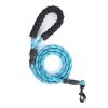Strong Nylon Braided Dog Leash – Durable Pet Training & Running Rope