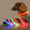 Glow-In-The-Dark LED Pet Collar – USB Rechargeable Safety Collar for Dogs & Cats
