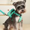 No-Pull Pet Harness and Leash Set with Backpack – Cute Adjustable Vest for Dogs and Cats