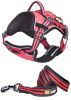 Helios Dog Chest Compression Harness and Leash Combo