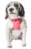 Pet Life 'Flam-Bowyant' Mesh Reversible And Breathable Adjustable Dog Harness W/ Designer Bowtie