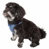 Pet Life “Flam-Bowyant” Reversible Breathable Dog Harness with Designer Bowtie