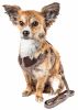 Pet Life Luxe 'Houndsome' 2-in-1 Reversible Plaid Dog Harness and Leash Set