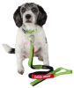 Helios Neo-Indestructible Easy-Tension Sporty Dog Leash and Collar Set