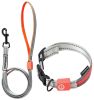 Touchdog 'Lumiglow' 2-in-1 USB Rechargeable LED Dog Leash and Collar Set