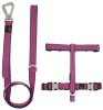 Pet Life 'Escapade' Outdoor Series 2-in-1 Dog Harness and Leash Set