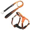 Pet Life 'Geo-prene' 2-in-1 Shock Absorbing Reflective Dog Harness and Leash Set