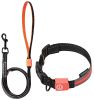 Touchdog 'Lumiglow' 2-in-1 USB Rechargeable LED Dog Leash and Collar Set