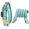 Touchdog 'Funny Bun' Tough Stitched Embroidered Dog Collar and Leash Set