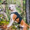 Multi-Use Support Dog Harness for Hiking, Trail Running & Service Dogs – Reflective No-Pull Pet Vest (Black XH)