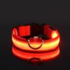 Glow-In-The-Dark LED Pet Collar – USB Rechargeable Safety Collar for Dogs & Cats