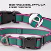 Waterproof Tactical Dog Collar – Heavy-Duty Training Collar for Medium & Large Dogs