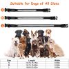 Light Up LED Dog Collar – Waterproof Rechargeable Glowing Safety Collar