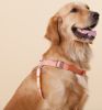 Touchdog 'Macaron' 2-in-1 Durable Nylon Dog Harness and Leash Set