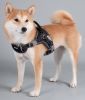 Dog Helios “Scorpion” Sporty High-Performance Free-Range Dog Harness