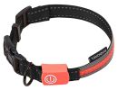 Touchdog 'Lumiglow' 2-in-1 USB Rechargeable LED Dog Leash and Collar Set