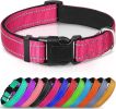 Reflective Neoprene Padded Dog Collar – Adjustable Breathable Nylon Collar for Medium Dogs