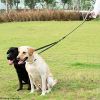 Dual Dog Leash – 360° Swivel No-Tangle Double Dog Walking Leash