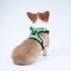 Frog Dog Harness and Leash Set – Breathable Mesh Backpack Vest for Small and Medium Dogs