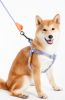 Touchdog 'Macaron' 2-in-1 Durable Nylon Dog Harness and Leash Set