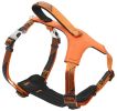 Pet Life 'Geo-prene' 2-in-1 Shock Absorbing Reflective Dog Harness and Leash Set