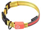 Touchdog 'Lumiglow' 2-in-1 USB Rechargeable LED Dog Leash and Collar Set