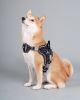 Dog Helios “Scorpion” Sporty High-Performance Free-Range Dog Harness
