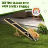 Dog Agility Ramp , Pet Seesaw