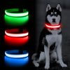 Solar & USB Rechargeable Light Up Pet Collar – Waterproof LED Dog & Cat Safety Collar