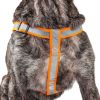 Reflective 2-in-1 Dog Harness and Leash Set – Adjustable Easy Tension No-Pull Walking System